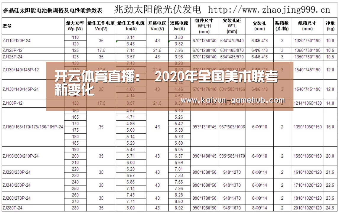 开云体育直播