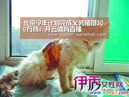 北京今年计划完成义务植树300万株:开云体育直播(图1) 开云官方入口